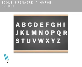 École primaire à  Owroe Bridge