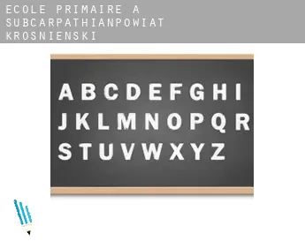 École primaire à  Powiat krośnieński (Subcarpathian Voivodeship)