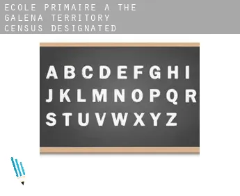 École primaire à  The Galena Territory