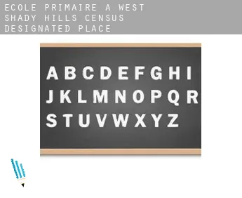 École primaire à  West Shady Hills
