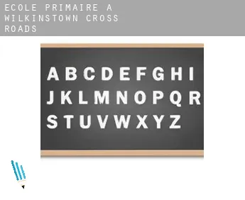École primaire à  Wilkinstown Cross Roads