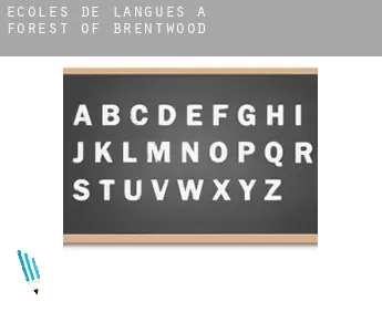 Écoles de langues à  Forest of Brentwood