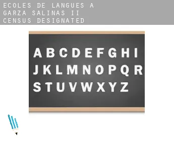 Écoles de langues à  Garza-Salinas II
