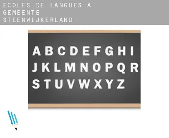 Écoles de langues à  Gemeente Steenwijkerland