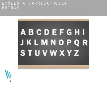 Écoles à  Carrigaphooea Bridge