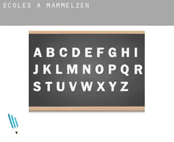 Écoles à  Mammelzen