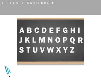 Écoles à  Sankenbach