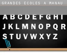 Grandes écoles à Manaus