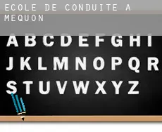 École de conduite à Mequon