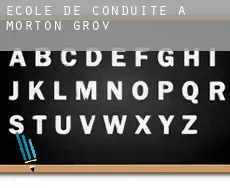 École de conduite à Morton Grove