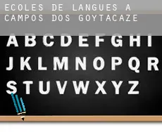 Écoles de langues à Campos dos Goytacazes