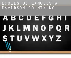 Écoles de langues à  Davidson