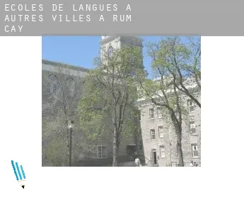 Écoles de langues à Autres Villes à Rum Cay