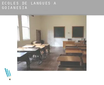 Écoles de langues à  Goianésia