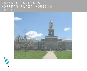 Grandes écoles à  Hoffman Plaza Housing Project