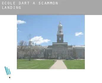 École d'art à  Scammon Landing