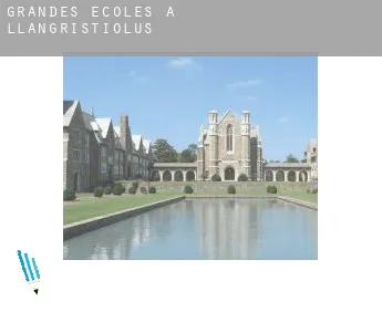 Grandes écoles à  Llangristiolus