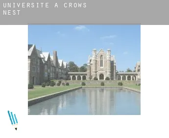 Universite à  Crows Nest