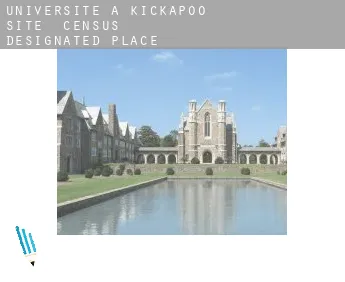 Universite à Kickapoo Site 6