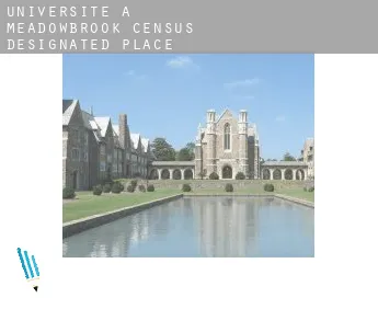 Universite à  Meadowbrook
