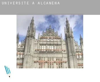 Universite à  Alcanena