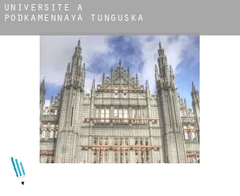 Universite à  Bor