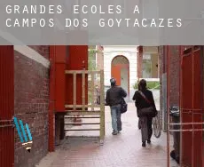 Grandes écoles à  Campos dos Goytacazes
