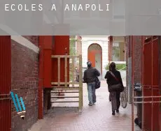 Écoles à Anápolis