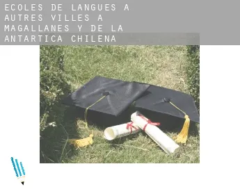 Écoles de langues à  Autres Villes à Magallanes y de la Antartica Chilena