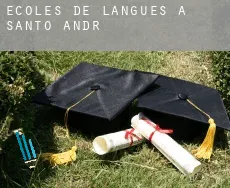 Écoles de langues à  Santo André