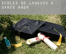 Écoles de langues à Santo André
