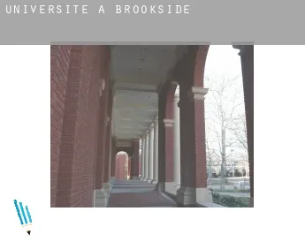 Universite à  Brookside