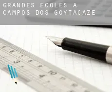 Grandes écoles à Campos dos Goytacazes