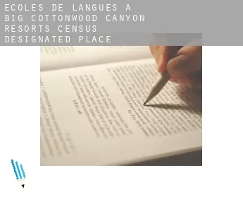 Écoles de langues à  Big Cottonwood Canyon Resorts