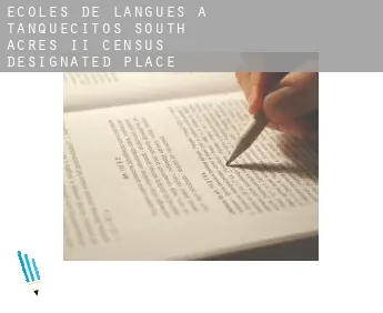 Écoles de langues à  Tanquecitos South Acres II