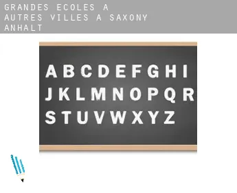 Grandes écoles à  Autres Villes à Saxony-Anhalt