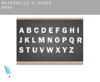 Maternelle à  Cedar Bank