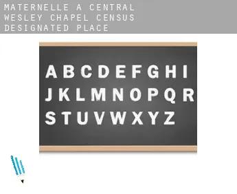 Maternelle à  Central Wesley Chapel