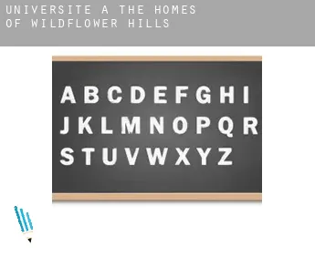 Universite à  The Homes Of Wildflower Hills