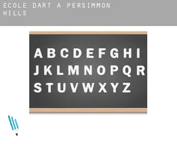 École d'art à  Persimmon Hills