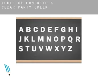 École de conduite à  Cedar Party Creek