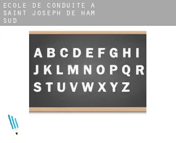 École de conduite à  Saint-Joseph-de-Ham-Sud