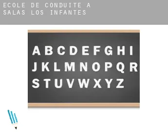 École de conduite à  Salas de los Infantes