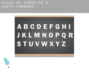 École de conduite à  South Commons