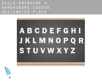 École primaire à  Aaronsburg
