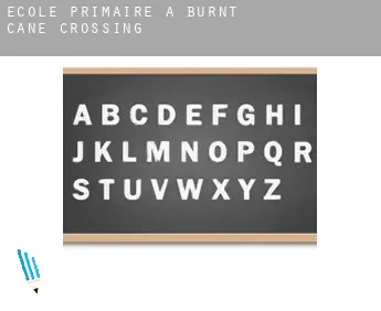 École primaire à  Burnt Cane Crossing