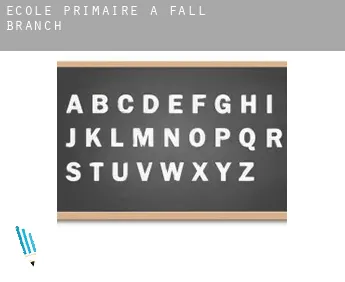 École primaire à  Fall Branch