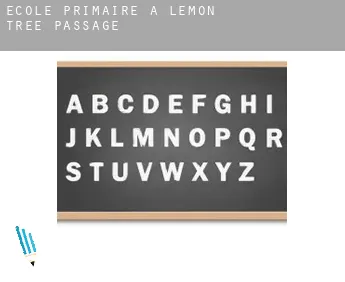École primaire à  Lemon Tree Passage