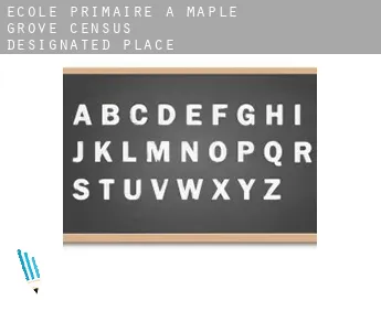 École primaire à Maple Grove
