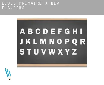 École primaire à  New Flanders